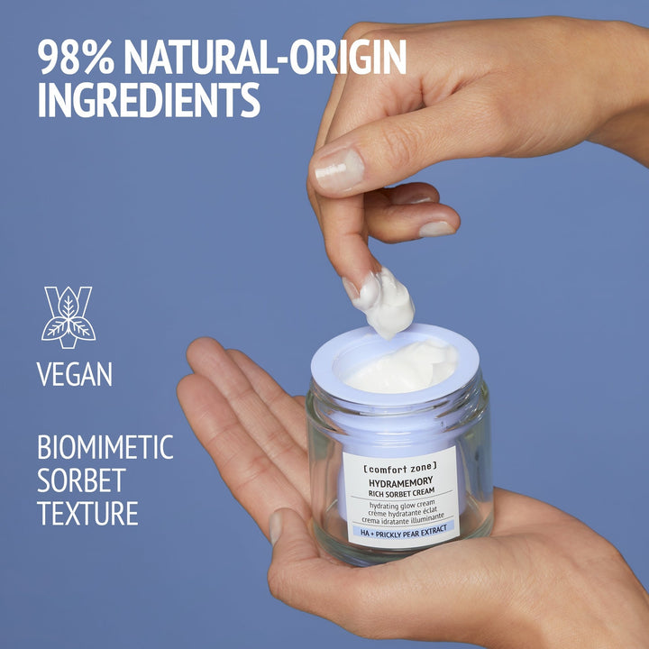Hydramemory Rich Sorbet Cream