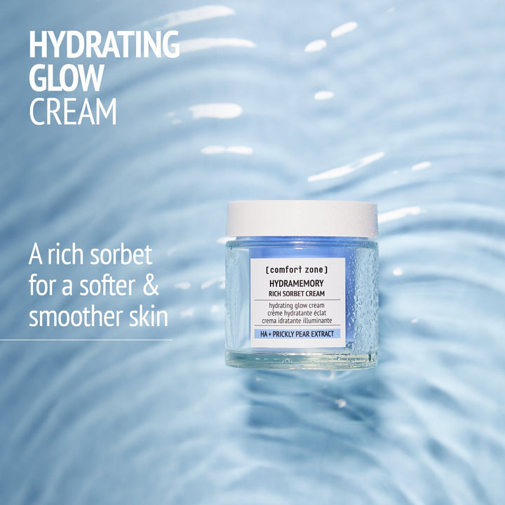 Hydramemory Rich Sorbet Cream