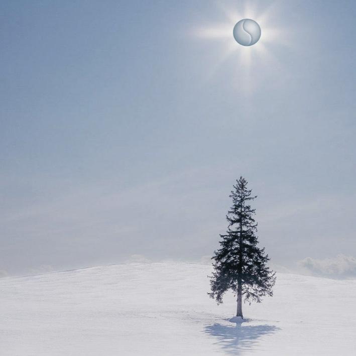 Minimalist winter landscape featuring a snow-covered tree and soft lighting for holiday spa gifting.