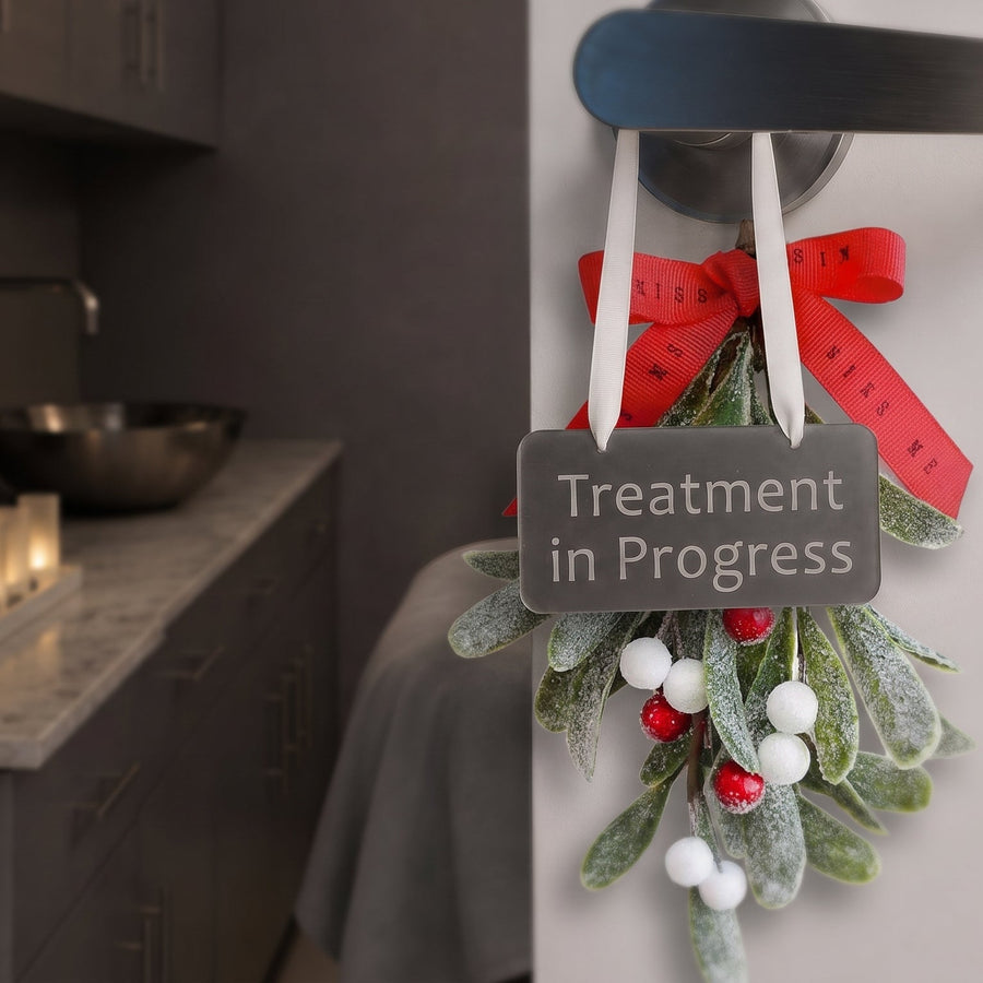 A dark gray rectangular sign hanging from a red ribbon and white string, with the words 'Treatment in Progress' in white text. The sign is decorated with faux frosted green leaves, white and red berries, and is shown hanging on a white door in a kitchen setting.
