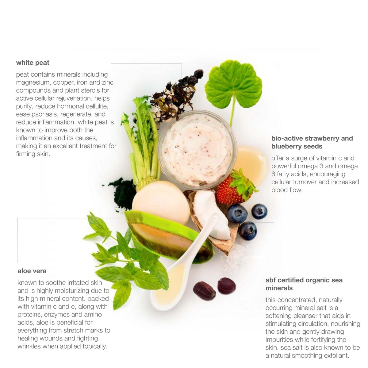 Red Flower Bioactive Berry White Peat Exfoliant official ingredient composition with berries, aloe and white peat