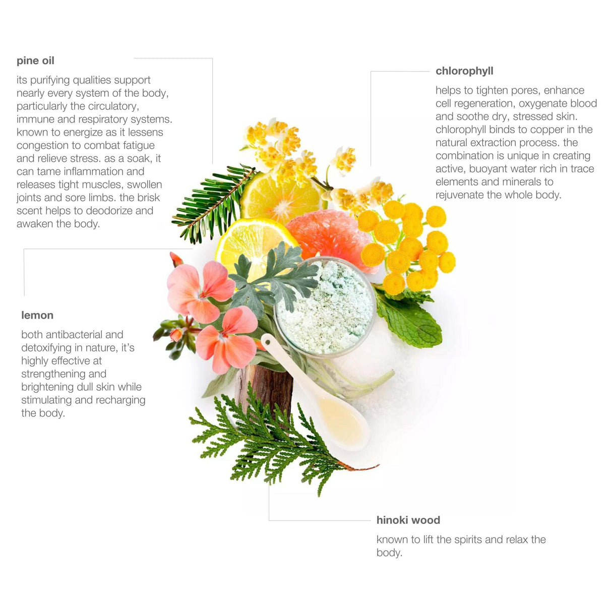 Hinoki Mint Mineral Bath Soak botanical ingredients, mineral salts and hinoki wood