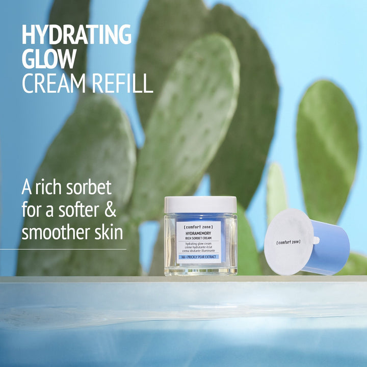 Hydramemory Rich Sorbet Cream Refill