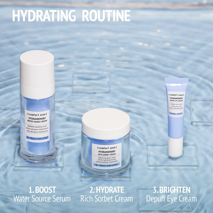 Hydramemory Rich Sorbet Cream Refill