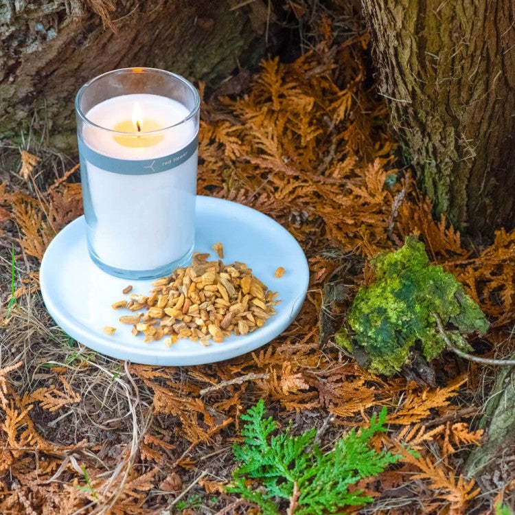 Red Flower Palo Santo Candle